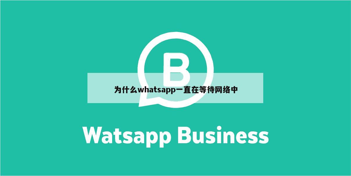 为什么whatsapp一直在等待网络中